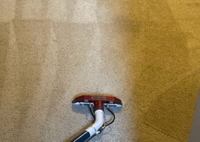 Carpet Cleaning in Appleton