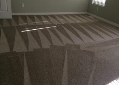 Carpet Cleaning in Redlands