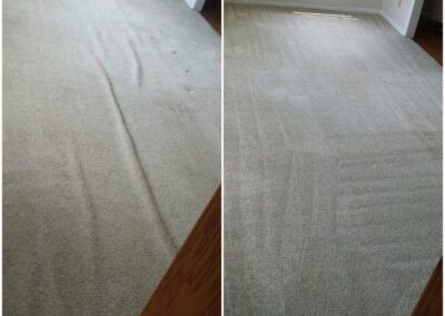 Before and After Carpet Cleaning in Clifton