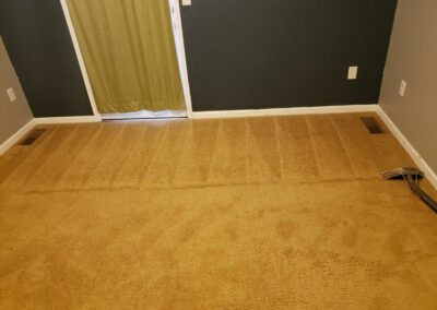 Carpet Cleaning in Orchard Mesa